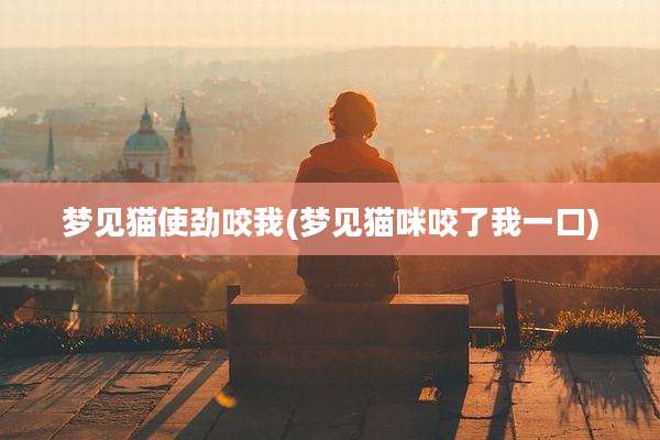 梦见猫使劲咬我(梦见猫咪咬了我一口)