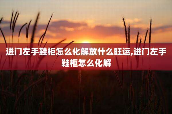 进门左手鞋柜怎么化解放什么旺运,进门左手鞋柜怎么化解