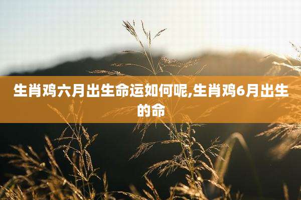 生肖鸡六月出生命运如何呢,生肖鸡6月出生的命