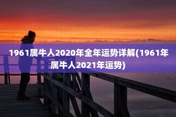 1961属牛人2020年全年运势详解(1961年属牛人2021年运势)