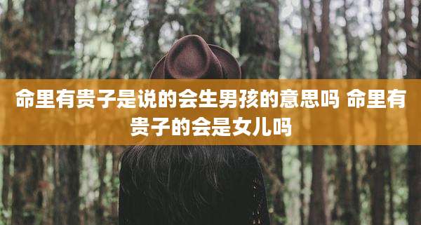 命里有贵子是说的会生男孩的意思吗 命里有贵子的会是女儿吗
