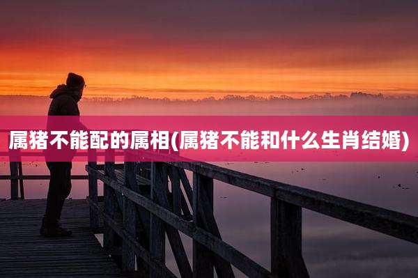 属猪不能配的属相(属猪不能和什么生肖结婚)