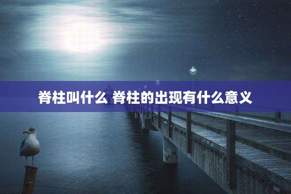 脊柱叫什么 脊柱的出现有什么意义