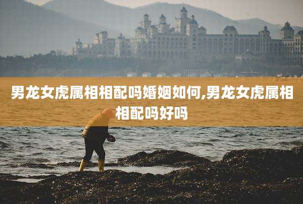 男龙女虎属相相配吗婚姻如何,男龙女虎属相相配吗好吗