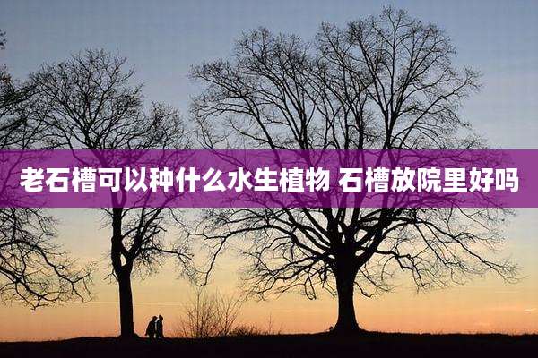 老石槽可以种什么水生植物 石槽放院里好吗