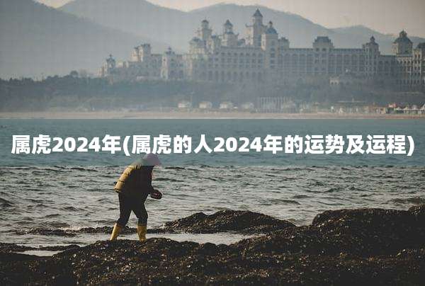属虎2024年(属虎的人2024年的运势及运程)