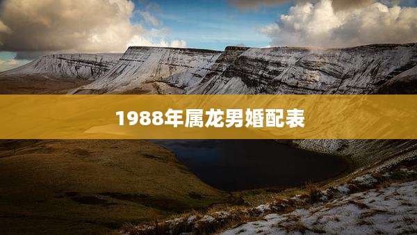 1988年属龙男婚配表