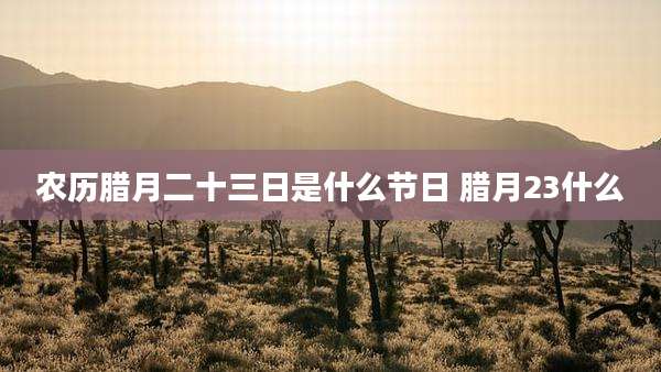 农历腊月二十三日是什么节日 腊月23什么