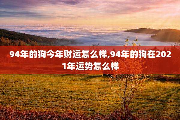 94年的狗今年财运怎么样,94年的狗在2021年运势怎么样