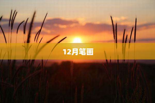 12月笔画
