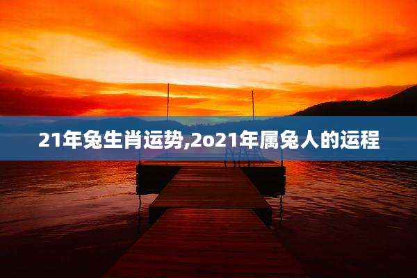 21年兔生肖运势,2o21年属兔人的运程