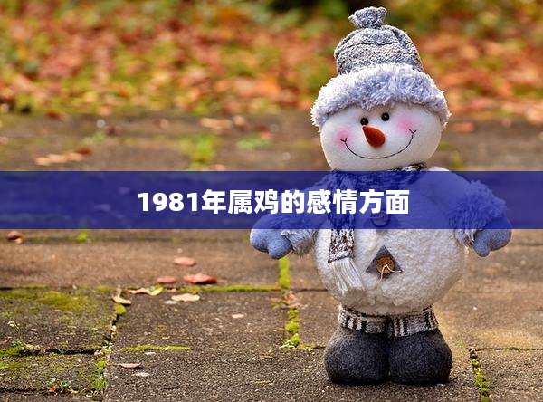 1981年属鸡的感情方面