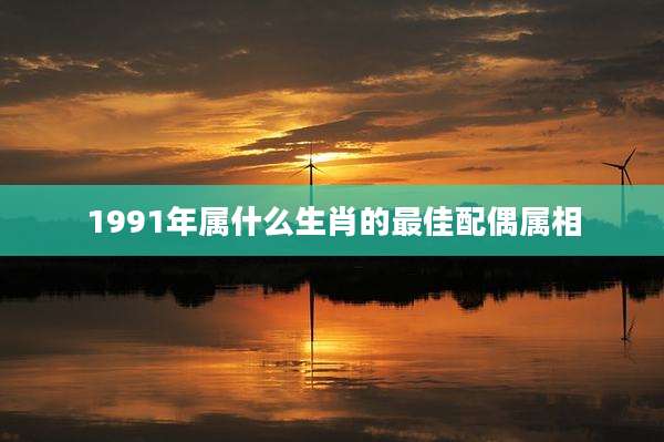 1991年属什么生肖的最佳配偶属相