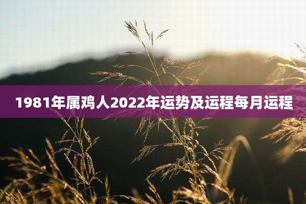 1981年属鸡人2022年运势及运程每月运程