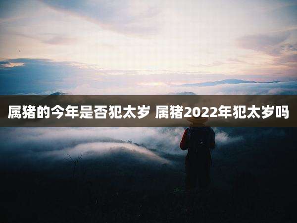属猪的今年是否犯太岁 属猪2022年犯太岁吗