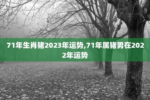 71年生肖猪2023年运势,71年属猪男在2022年运势