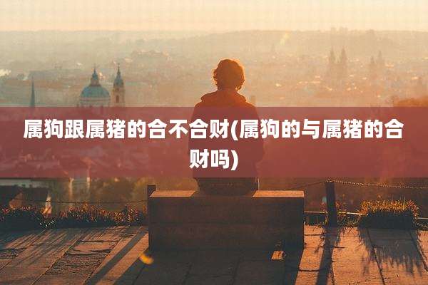属狗跟属猪的合不合财(属狗的与属猪的合财吗)