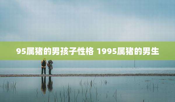 95属猪的男孩子性格 1995属猪的男生