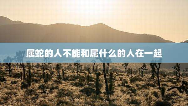 属蛇的人不能和属什么的人在一起