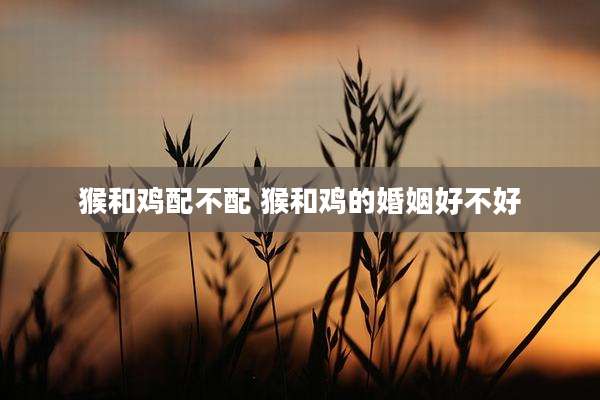 猴和鸡配不配 猴和鸡的婚姻好不好