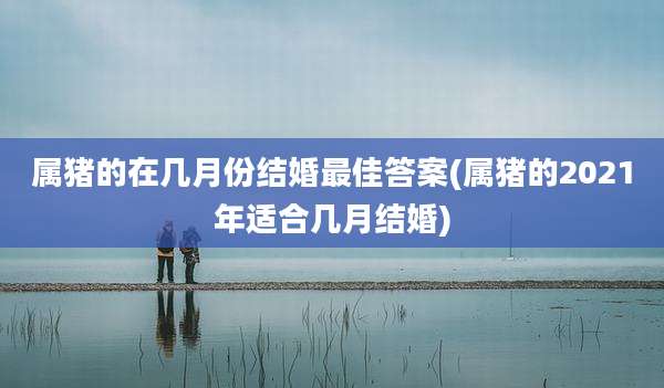 属猪的在几月份结婚最佳答案(属猪的2021年适合几月结婚)