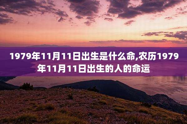 1979年11月11日出生是什么命,农历1979年11月11日出生的人的命运
