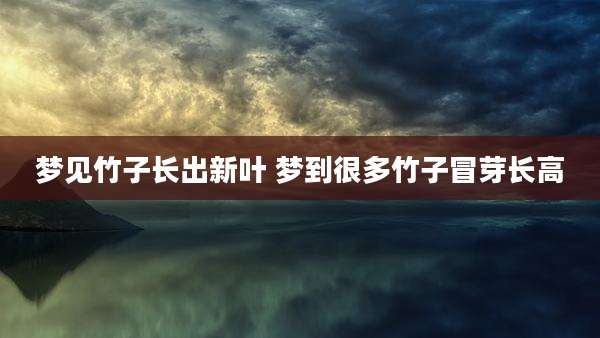 梦见竹子长出新叶 梦到很多竹子冒芽长高