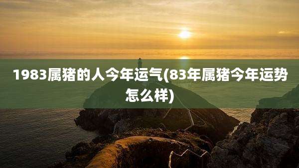 1983属猪的人今年运气(83年属猪今年运势怎么样)