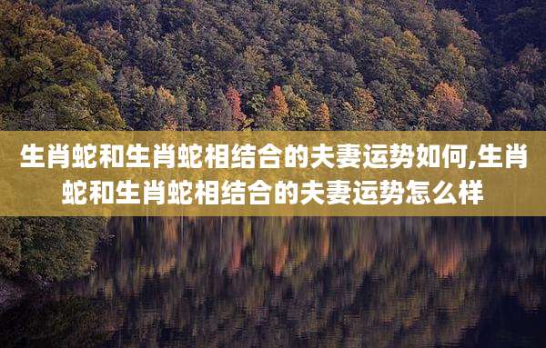生肖蛇和生肖蛇相结合的夫妻运势如何,生肖蛇和生肖蛇相结合的夫妻运势怎么样