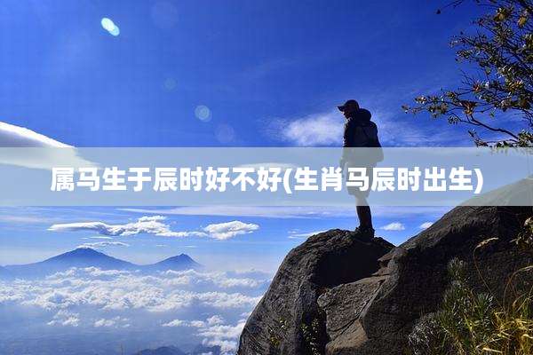 属马生于辰时好不好(生肖马辰时出生)