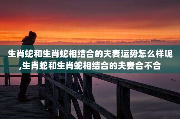 生肖蛇和生肖蛇相结合的夫妻运势怎么样呢,生肖蛇和生肖蛇相结合的夫妻合不合