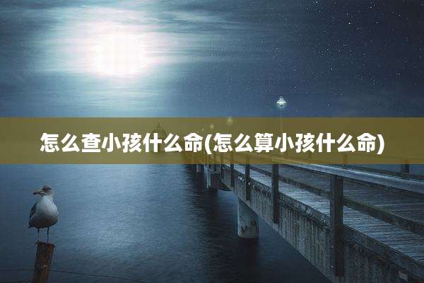 怎么查小孩什么命(怎么算小孩什么命)