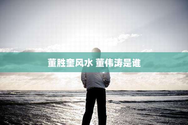 董胜奎风水 董伟涛是谁