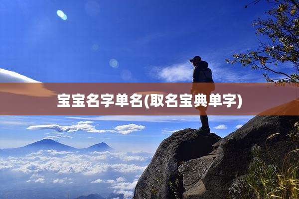 宝宝名字单名(取名宝典单字)