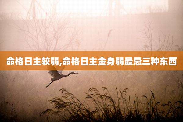 命格日主较弱,命格日主金身弱最忌三种东西