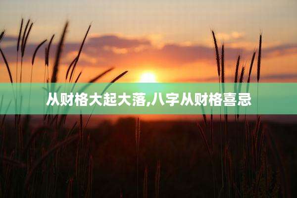 从财格大起大落,八字从财格喜忌