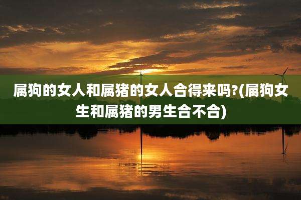 属狗的女人和属猪的女人合得来吗?(属狗女生和属猪的男生合不合)