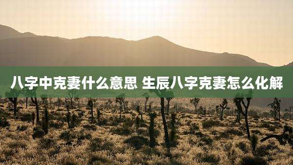 八字中克妻什么意思 生辰八字克妻怎么化解