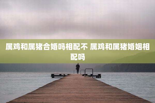 属鸡和属猪合婚吗相配不 属鸡和属猪婚姻相配吗