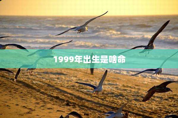 1999年出生是啥命