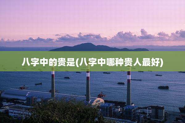 八字中的贵是(八字中哪种贵人最好)
