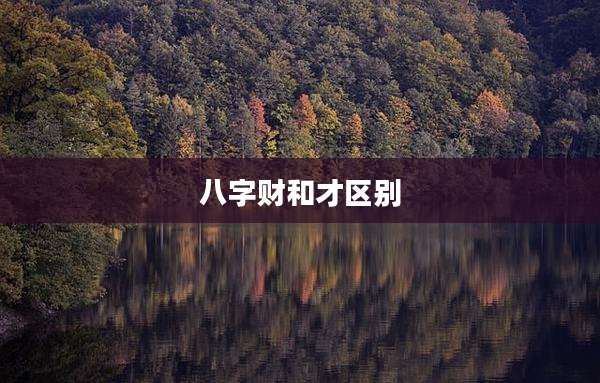 八字财和才区别