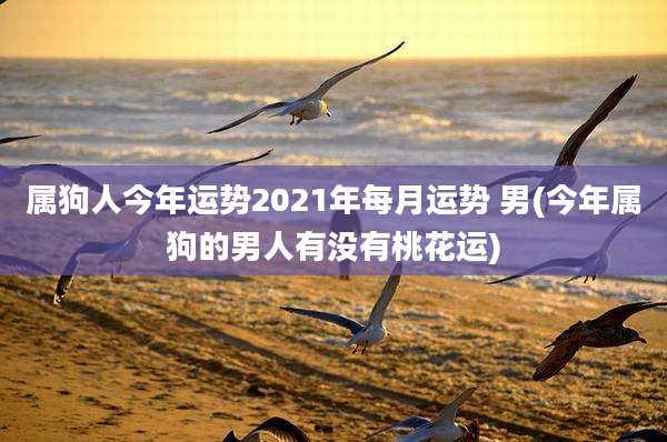 属狗人今年运势2021年每月运势 男(今年属狗的男人有没有桃花运)