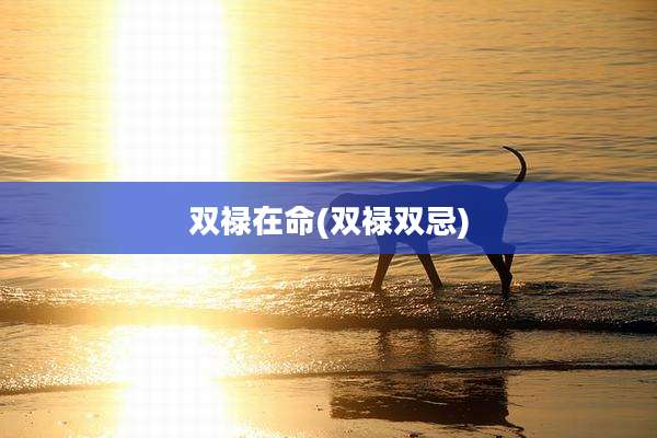 双禄在命(双禄双忌)