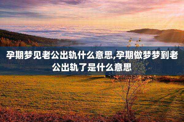 孕期梦见老公出轨什么意思,孕期做梦梦到老公出轨了是什么意思