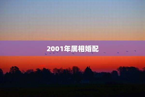 2001年属相婚配