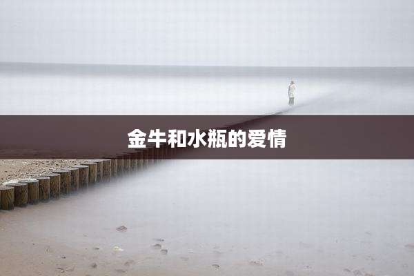 金牛和水瓶的爱情
