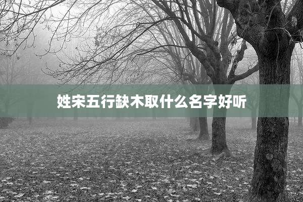 姓宋五行缺木取什么名字好听