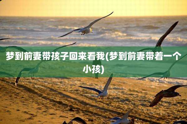 梦到前妻带孩子回来看我(梦到前妻带着一个小孩)