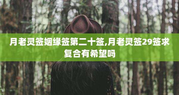 月老灵签姻缘签第二十签,月老灵签29签求复合有希望吗